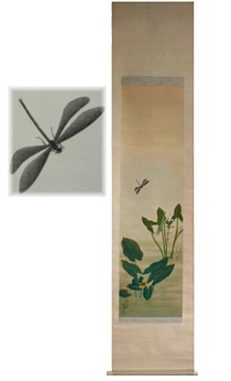 японский рисунок на свитке Стрекоза над кувшинкой, 1910-е гг.